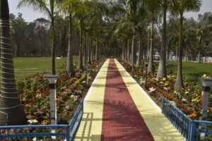 WhatsApp Image 2025 11 22 at 17.56.57 1