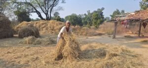 WhatsApp Image 2025 11 28 at 18.36.36 1