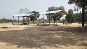 vlcsnap 2025 11 18 15h58m15s907