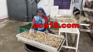 vlcsnap 2025 11 26 17h08m37s564