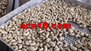 vlcsnap 2025 11 26 17h08m44s250