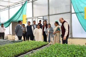 1764603460 446ab494c27cd6c55eb2