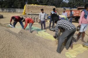 1765114974 188cb3b3e0cc2b9ff4c7