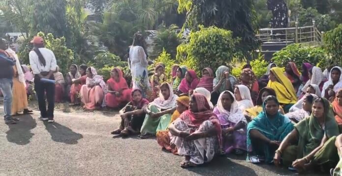 Screenshot_20251203_141911_Gallery