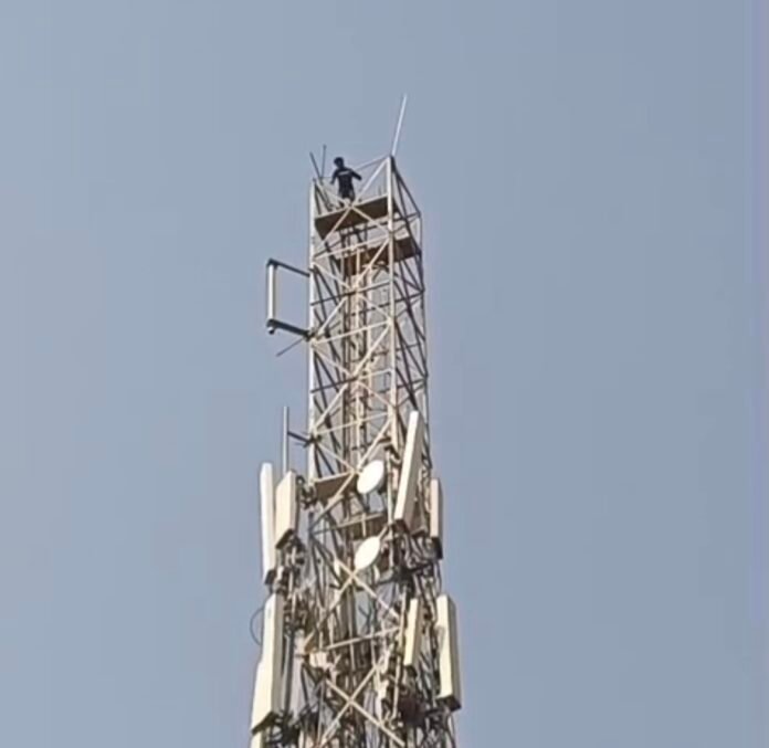 Screenshot_20251215_120834_Gallery