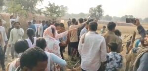 Screenshot 20251215 130453 Gallery