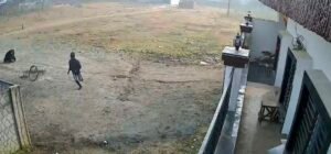 हॉकर भालू के हमले से बाल बाल बचा, देखिए वीडियो 1 Screenshot 20251215 133854 Gallery