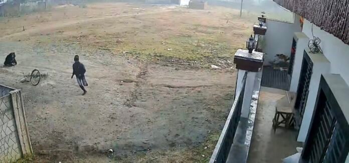 Screenshot_20251215_133854_Gallery