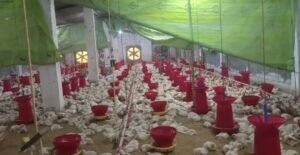 Screenshot 20251219 104422 Gallery