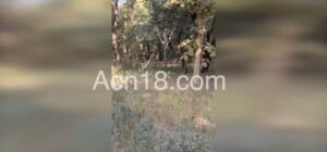 Screenshot 20251231 142313 Gallery