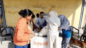 खतरे रोकने पालतू कुत्तों और बिल्लियों को लगाया गया टीका.दशहरा मैदान में नगर निगम ने किया यह कार्यक्रम 1 vlcsnap 2025 12 09 16h47m12s194