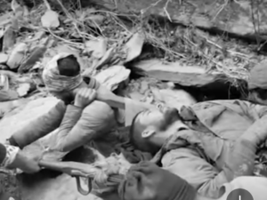 Screenshot 2026 01 22 16 11 10 897 com.ak .ta .dainikbhaskar.activity