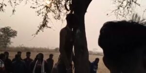 Screenshot 20260104 144232 Gallery