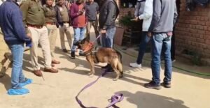 Screenshot 20260105 151656 Gallery