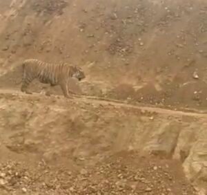 Screenshot 20260114 130915 Gallery