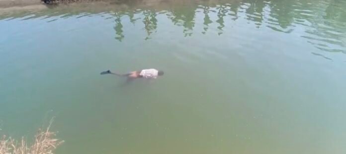 Screenshot_20260117_165042_Gallery