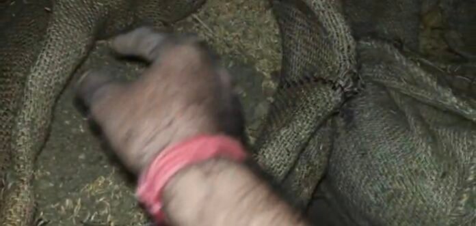 Screenshot_20260120_124352_Gallery