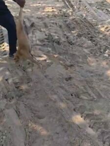 Screenshot 20260120 160508 Gallery