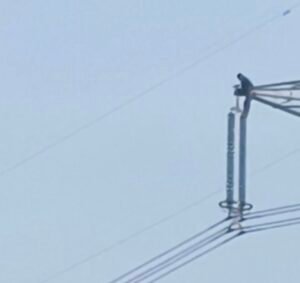 Screenshot 20260131 105236 Gallery