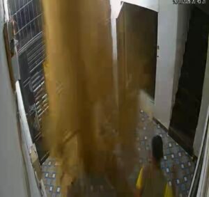 Screenshot 20260131 123736 Gallery