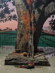 ग्राम देवता की प्रतिमा उठा ले गए चोर 2 IMG 20260217 WA0029