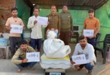 35 किलो गांजा सहित दो तस्कर गिरफ्तार