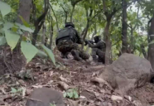 जम्मू-कश्मीर में जैश के दो आतंकवादी मारे गए: उधमपुर में गुफा में छिपे थे, सेना का सर्च ऑपरेशन जारी