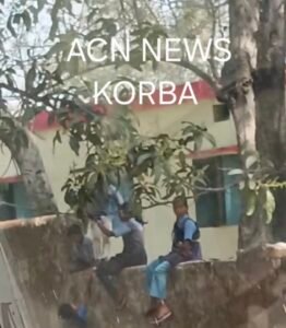 Screenshot 20260211 164642 Gallery