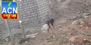 Screenshot 20260225 164029 Studio 1