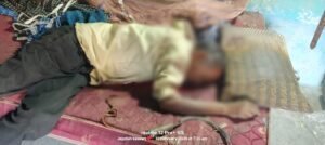 WhatsApp Image 2026 02 10 at 11.56.00 AM