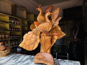 WhatsApp Image 2026 02 11 at 18.12.34