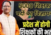 स्कूल शिक्षा विभाग द्वारा 5000 पदों पर भर्ती का विज्ञापन जारी किया जाएगा