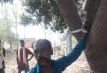 बच्चा चोरी के मामले में ऑटो चालक की पिटाई ,पेड़ में बांधकर पीटने का वीडियो हुआ वायरल