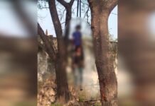 दो दोस्त एक साथ पेड़ पर फंदा लगाकर झूले ,दोनों की मौत, गांव में सन्नाटा पसरा