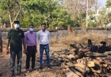 कटघोरा वन क्षेत्र में बड़ा हादसा: करंट की चपेट में आकर भालू और दो शावकों की मौत