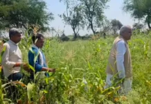 दुर्ग में भाजपा नेता के खेत में अफीम की खेती, पूर्व CM भूपेश बघेल ने पूछा – क्या यह प्रोजेक्ट भाजपा किसान मोर्चा का है या फिर सरकार में बैठे मंत्रियों का?