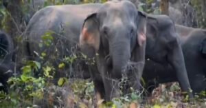 Screenshot 20260305 090619 Gallery