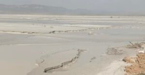 Screenshot 20260305 112446 Gallery