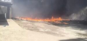 Screenshot 20260312 151415 Gallery