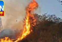 पराली जलाने का चलन छत्तीसगढ़ में भी बढ़ा , पराली जलने के कारण धुएं से आच्छादित हो रहा है गगन, देखिए वीडियो