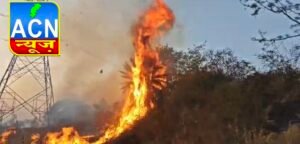 Screenshot 20260313 132508 Gallery