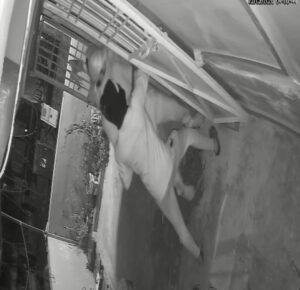 Screenshot 20260316 151705 Gallery