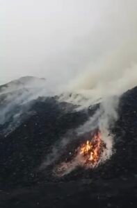 Screenshot 20260317 142656 Gallery