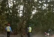 अडानी अंबुजा सीमेंट के गार्ड का अमानवीय चेहरा ,आम तोड़ने गए बच्चे को पटक पटक कर मारा ,देखिए वीडियो