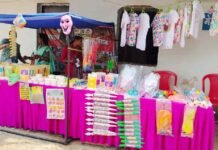 बस्तर की खुशबू और हर्बल रंगों से महकेगी होली