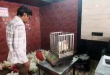 मुर्गो बकरों की खैर नहीं…