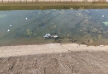 नहर में नवजात का शव मिलने से हड़कंप