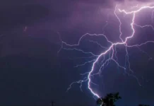 बतौली में गिरी आकाशीय बिजली : 16 पशुओं की मौत, किसानों पर टूटा आर्थिक संकट का पहाड़