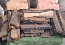 बस्तर में मिली 500 साल पुरानी पांडुलिपि : राजवैद्य के घर सुरक्षित मिले तालपत्र पर उकेरे गए आयुर्वेद के रहस्य