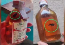 गोल्डन गोवा के पौवा में कीड़ा : लोरमी के सरकारी शराब दुकान में खरीदा गया सीलबंद बोतल, गुणवत्ता पर उठे सवाल